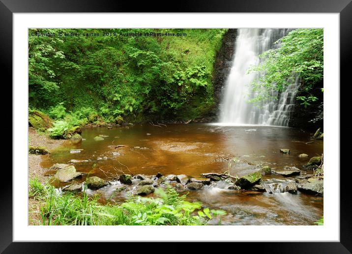 WATER LEAVES Framed Mounted Print by andrew saxton