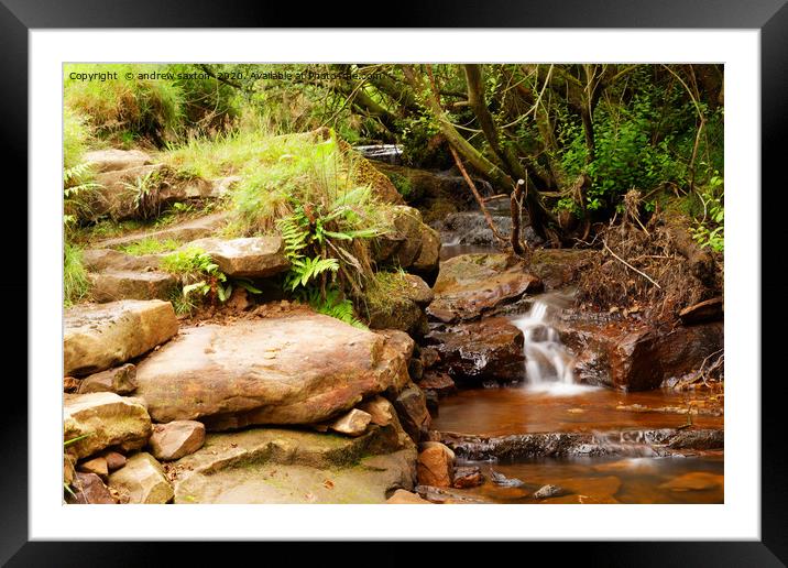 IN ROCKS Framed Mounted Print by andrew saxton