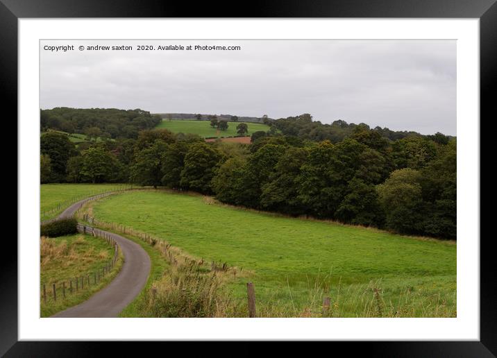 THE LANE  Framed Mounted Print by andrew saxton