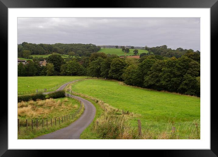 TAKING THE LOW ROAD Framed Mounted Print by andrew saxton