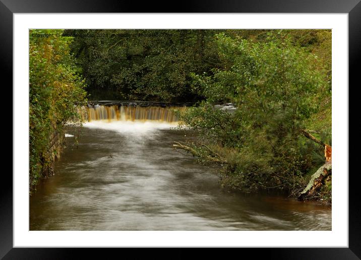 GOATHLAND WATERS Framed Mounted Print by andrew saxton