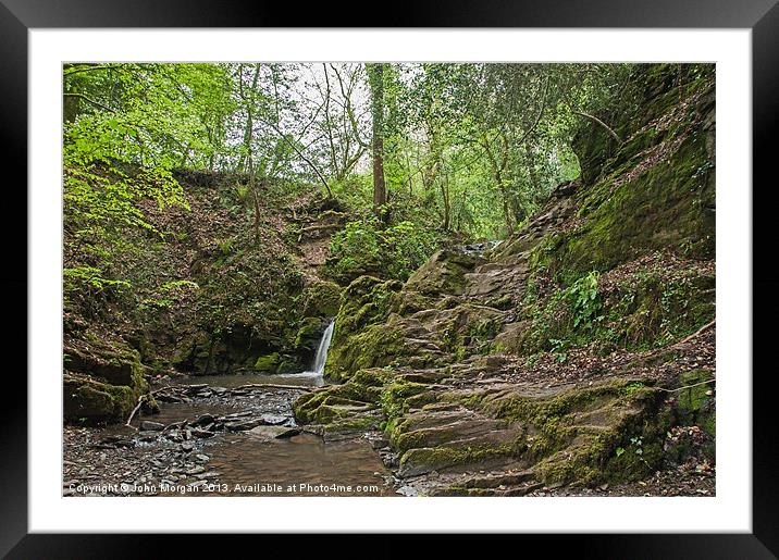 Forest stream. Framed Mounted Print by John Morgan