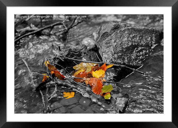 Autumn colours, Framed Mounted Print by John Morgan