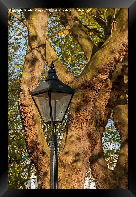 Lamp light. Framed Print by John Morgan
