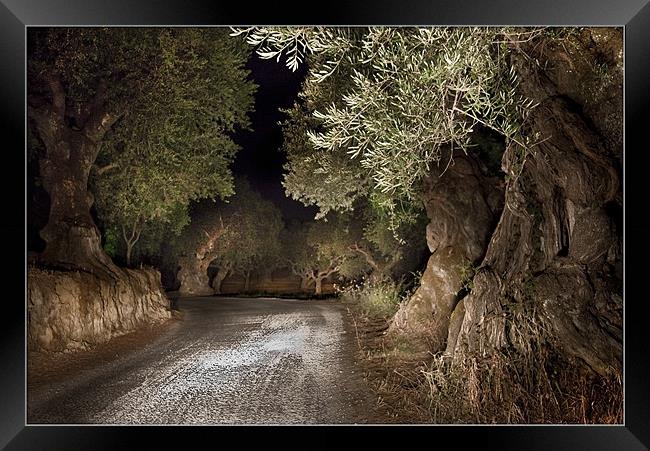 Olive Grove night Drive Framed Print by Peter Blunn