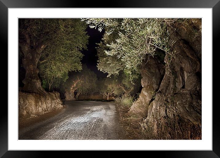 Olive Grove night Drive Framed Mounted Print by Peter Blunn