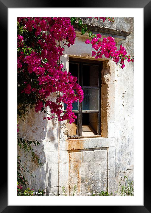 Old Greek House,With Bougainvillea Plant Framed Mounted Print by Peter Blunn