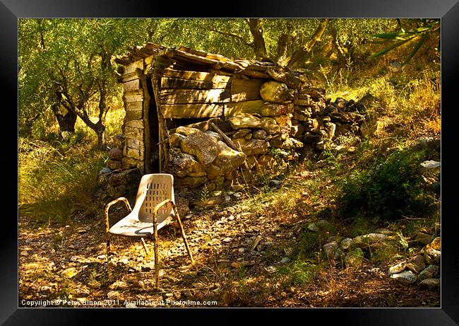 Olive Grove Shelter & Rusty Chair Framed Print by Peter Blunn