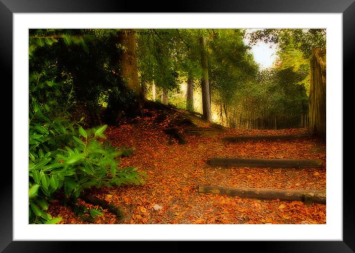 Autumn's  Golden Woodland Pathway Framed Mounted Print by Peter Blunn