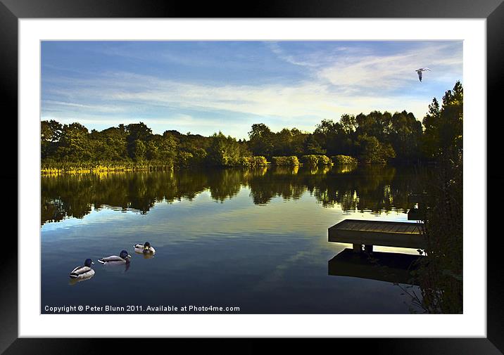 Lake @ Arrow Valley Country Park Redditch Framed Mounted Print by Peter Blunn