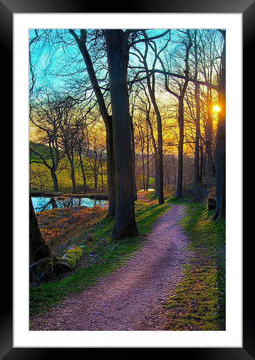A Sunny Woodland Pathway Framed Mounted Print by Peter Blunn
