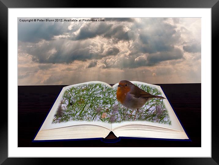 Pop-up open Book with Robin Framed Mounted Print by Peter Blunn