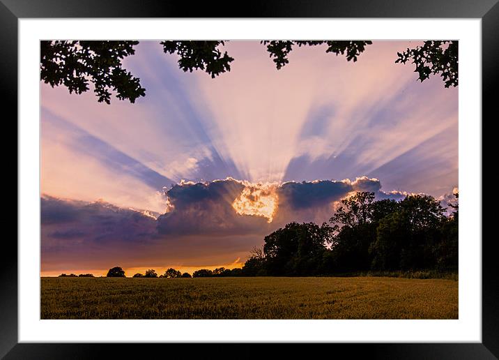 Cornfield Sunset Framed Mounted Print by Peter Blunn