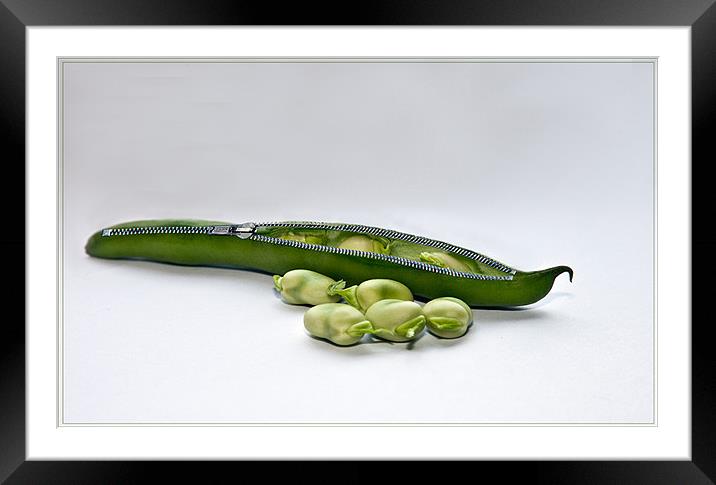 Un-Zip a Broad Bean Framed Mounted Print by Peter Blunn