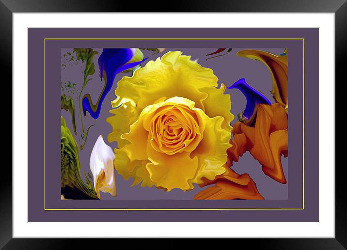 Abstract Rose on a Liquified Colourful B/G Framed Mounted Print by Peter Blunn