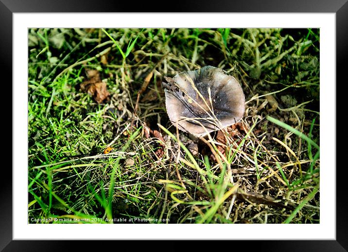 Alice Framed Mounted Print by Maria Tzamtzi Photography