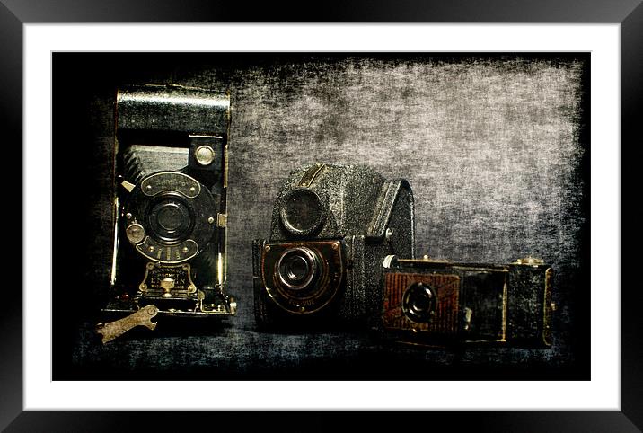 one, two, three... Framed Mounted Print by Maria Tzamtzi Photography