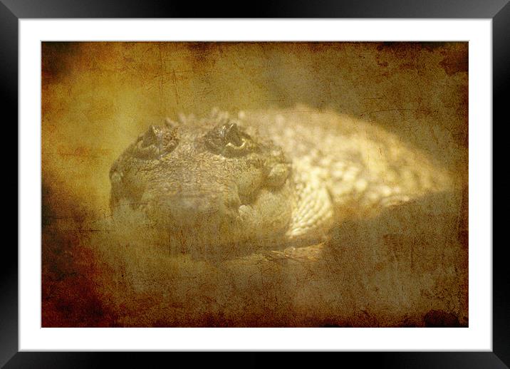 Sneak up Framed Mounted Print by Maria Tzamtzi Photography
