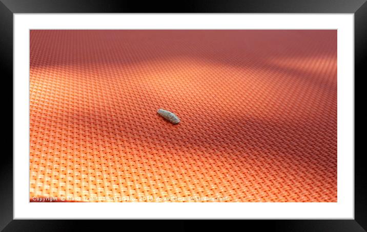 Big Orange World Framed Mounted Print by Maria Tzamtzi Photography