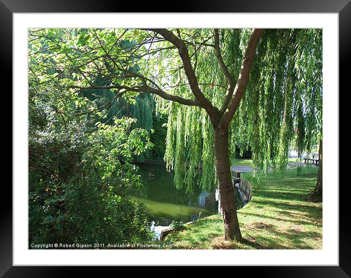 Pond at peace 2 Framed Mounted Print by Robert Gipson