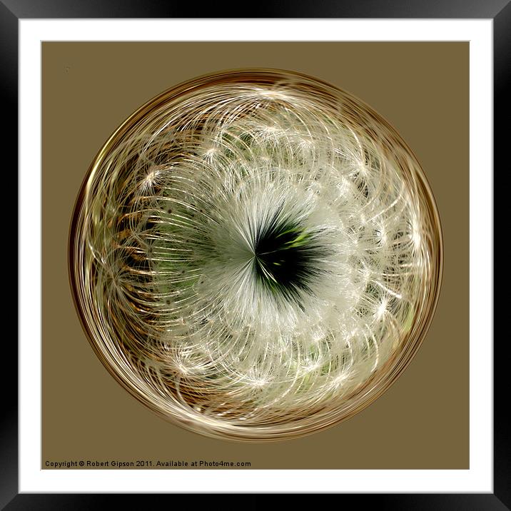 Spherical Paperweight dandylion Framed Mounted Print by Robert Gipson