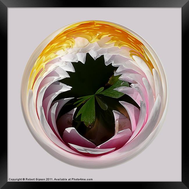 Spherical Glass paperweight Lillysphere Framed Print by Robert Gipson