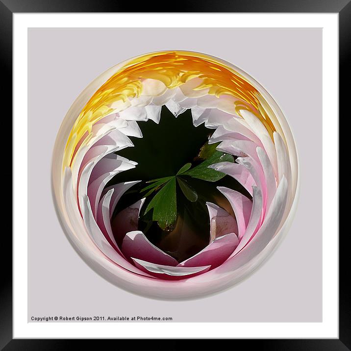 Spherical Glass paperweight Lillysphere Framed Mounted Print by Robert Gipson