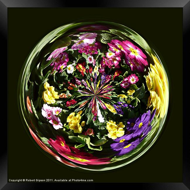 Spherical Paperweight Flowers and colours Framed Print by Robert Gipson