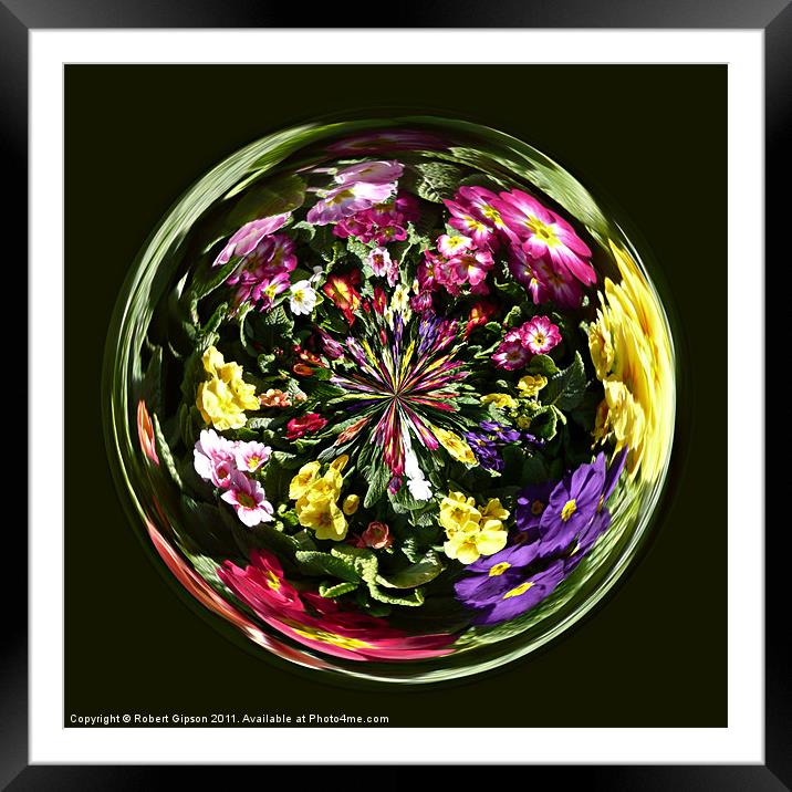 Spherical Paperweight Flowers and colours Framed Mounted Print by Robert Gipson