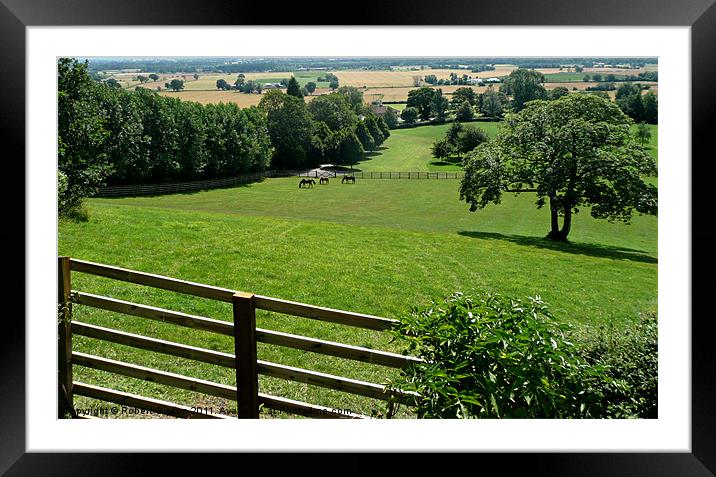 Green Fields of Cryke Framed Mounted Print by Robert Gipson