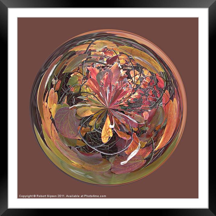 Spherical Glass paperweight Tanglewood Framed Mounted Print by Robert Gipson