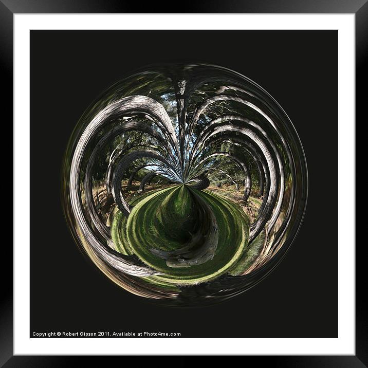 Spherical Paperweight tangled wood Framed Mounted Print by Robert Gipson