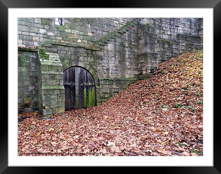 York leafy Walls Framed Mounted Print by Robert Gipson