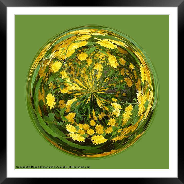 Abstract Yellow flower paperweight Framed Mounted Print by Robert Gipson