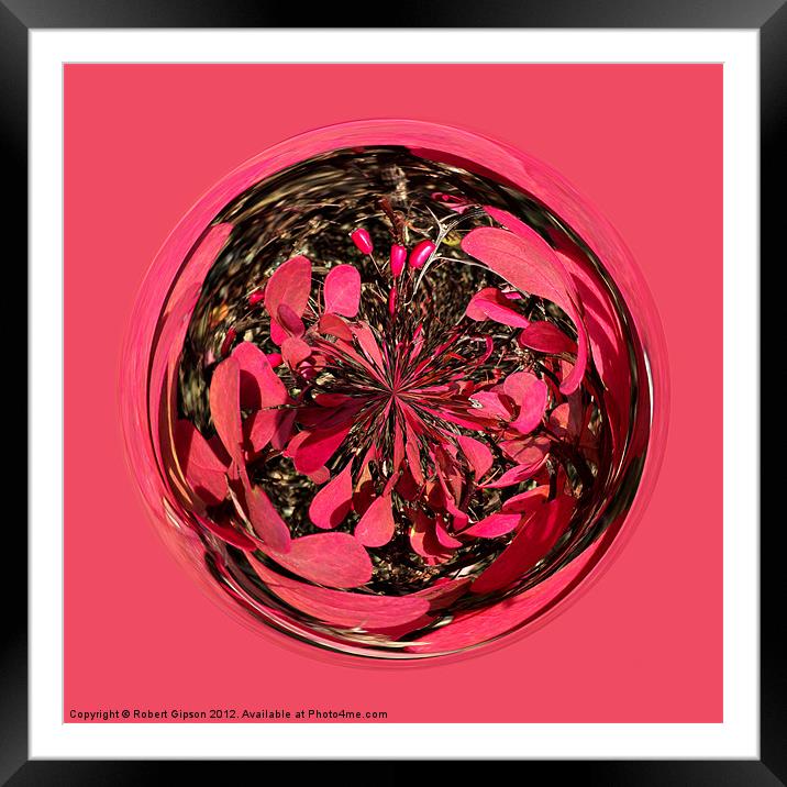 Spherical Autumn purple Framed Mounted Print by Robert Gipson