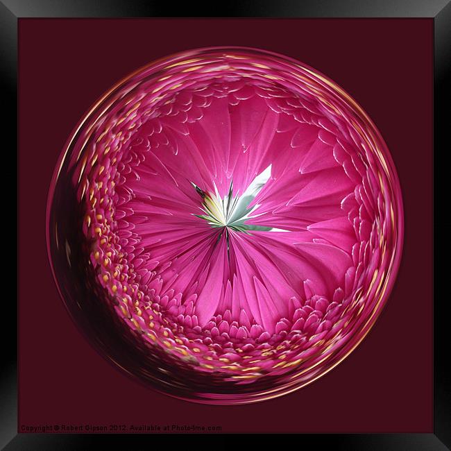 Spherical Purple wonder Framed Print by Robert Gipson