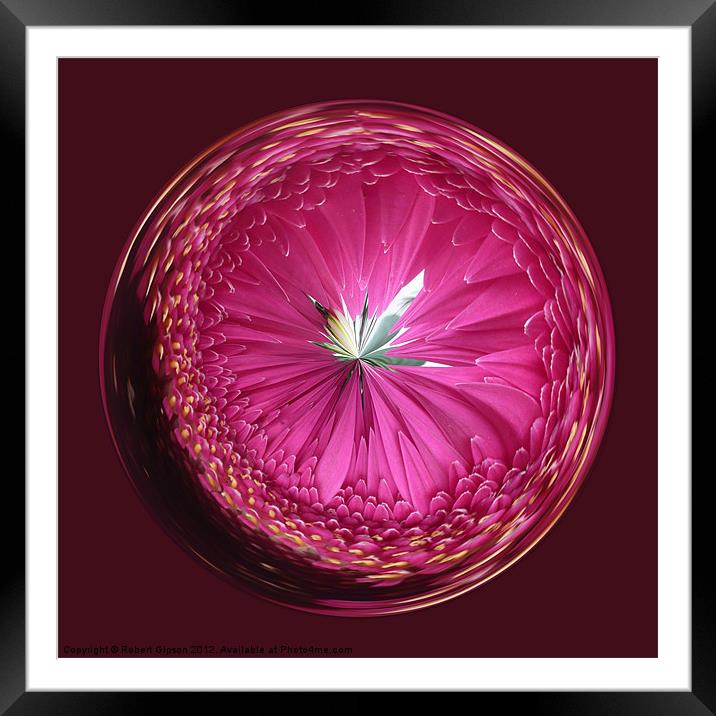 Spherical Purple wonder Framed Mounted Print by Robert Gipson
