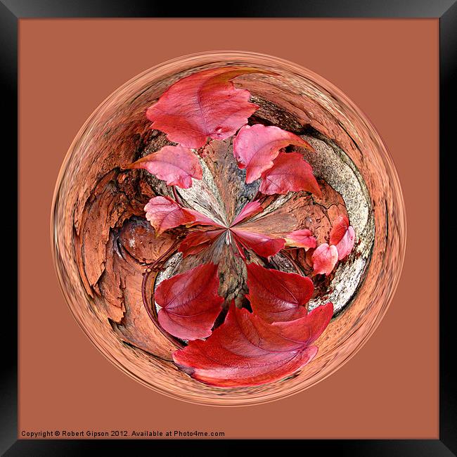 Spherical Autumn Creeper Framed Print by Robert Gipson