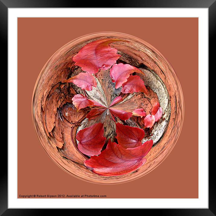Spherical Autumn Creeper Framed Mounted Print by Robert Gipson