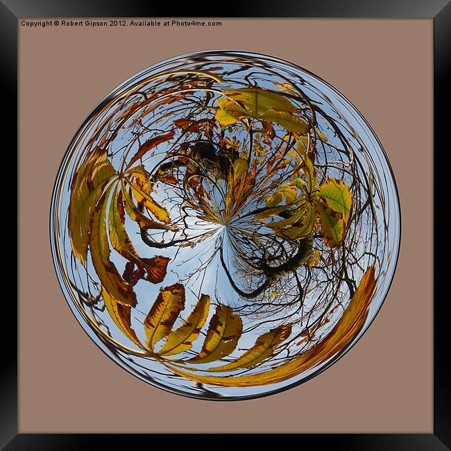 Spherical Autumn decay Framed Print by Robert Gipson