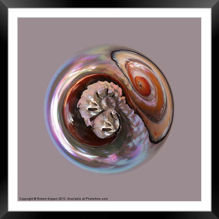 Spherical shell Framed Mounted Print by Robert Gipson