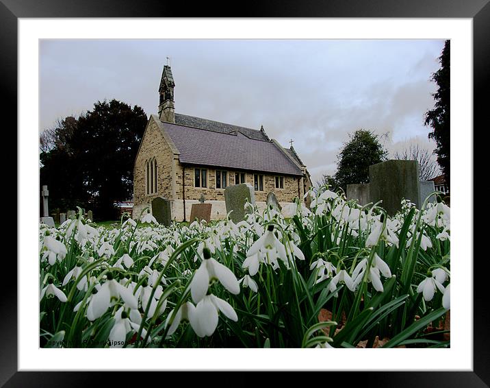Church in snowdrops Framed Mounted Print by Robert Gipson