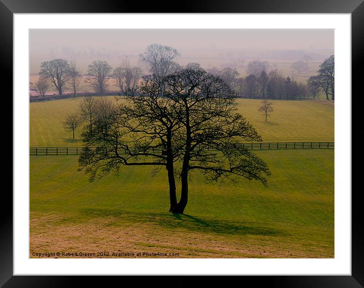 Tree in green field Framed Mounted Print by Robert Gipson
