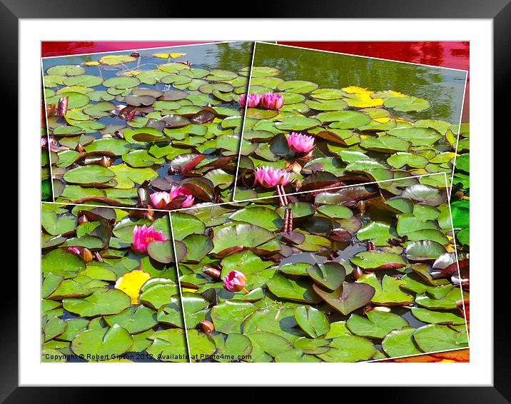 Lily pond in the frame Framed Mounted Print by Robert Gipson