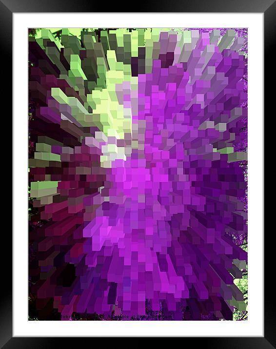 Abstract in purple Framed Mounted Print by Robert Gipson