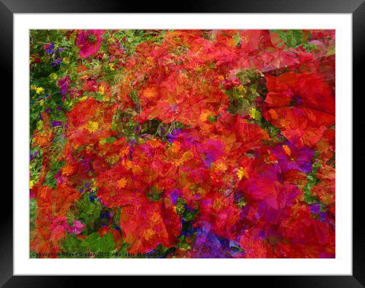 Flower blend Framed Mounted Print by Robert Gipson