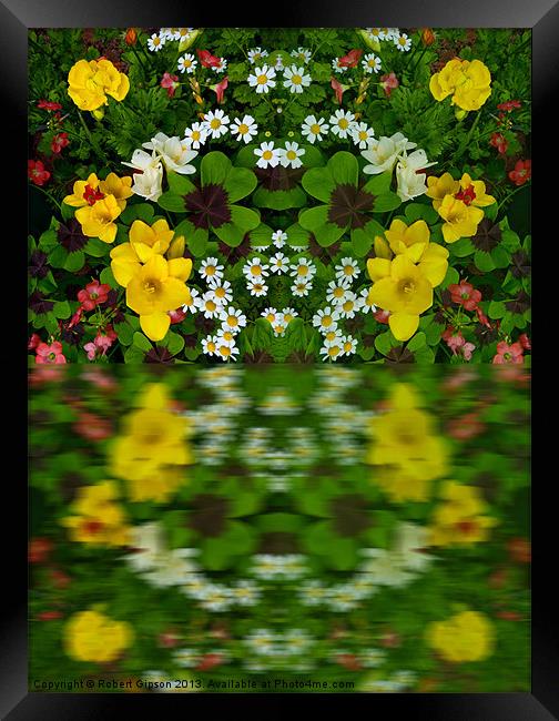 Summer Flowers in reflect Framed Print by Robert Gipson