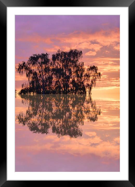 Reflections of sunset Framed Mounted Print by Robert Gipson