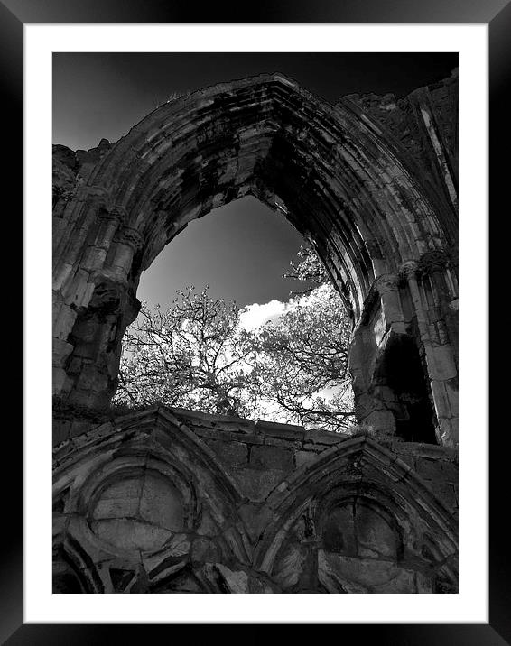 The York Abbey, St Marys Framed Mounted Print by Robert Gipson