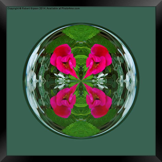 Flower Globe Framed Print by Robert Gipson